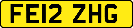 FE12ZHG