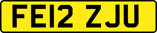 FE12ZJU