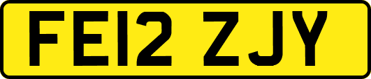 FE12ZJY