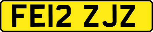 FE12ZJZ