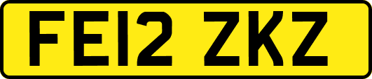 FE12ZKZ