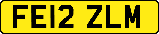 FE12ZLM