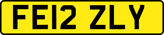 FE12ZLY