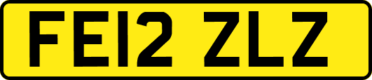 FE12ZLZ