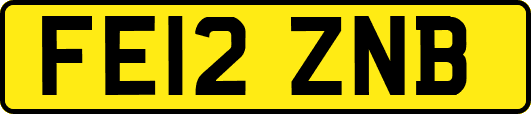 FE12ZNB