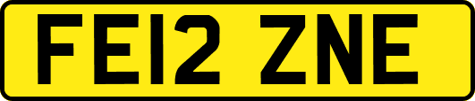 FE12ZNE
