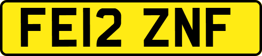 FE12ZNF
