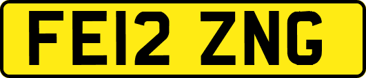 FE12ZNG
