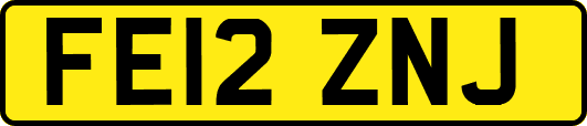 FE12ZNJ