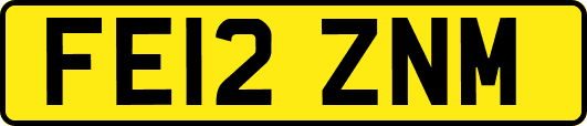 FE12ZNM