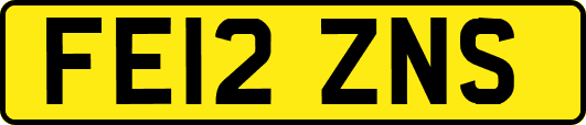 FE12ZNS