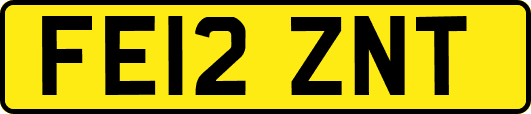 FE12ZNT