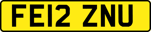 FE12ZNU