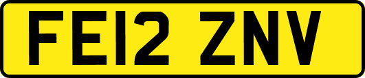 FE12ZNV