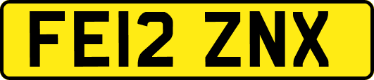 FE12ZNX