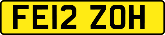 FE12ZOH