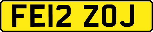 FE12ZOJ
