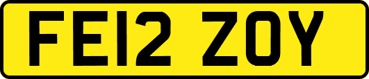 FE12ZOY