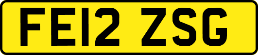 FE12ZSG