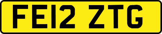 FE12ZTG