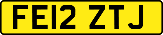 FE12ZTJ