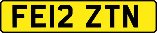 FE12ZTN
