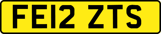 FE12ZTS