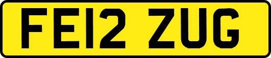 FE12ZUG