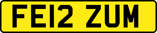 FE12ZUM