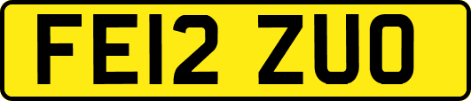 FE12ZUO