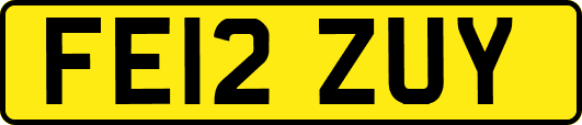 FE12ZUY