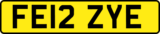 FE12ZYE