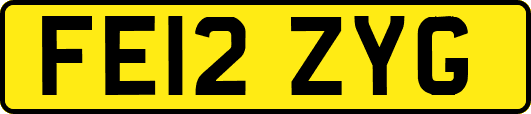 FE12ZYG