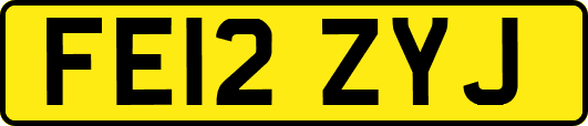 FE12ZYJ