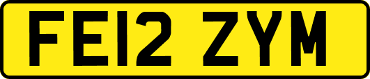 FE12ZYM