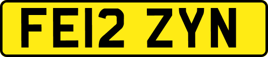 FE12ZYN