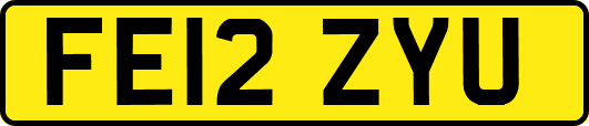 FE12ZYU