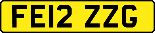FE12ZZG