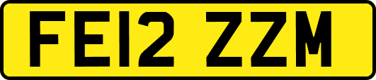 FE12ZZM