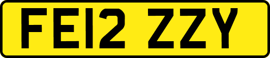FE12ZZY