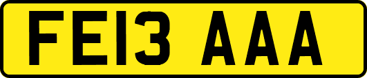 FE13AAA