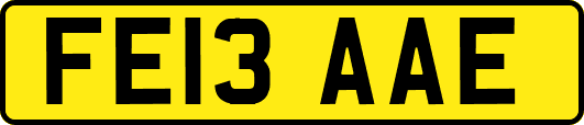 FE13AAE