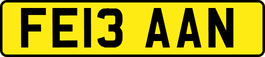 FE13AAN
