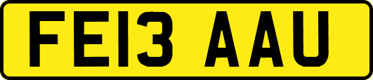 FE13AAU