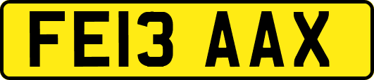 FE13AAX