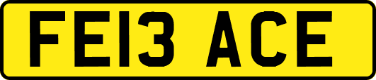 FE13ACE