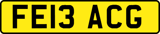 FE13ACG