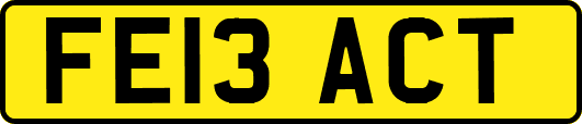 FE13ACT