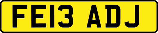 FE13ADJ