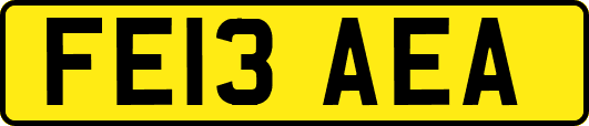 FE13AEA